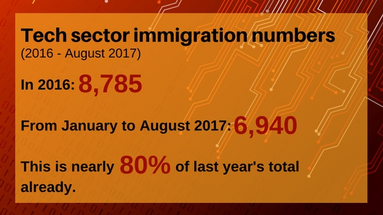 tech sector immigration