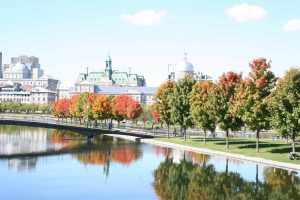 quebec selection certificate