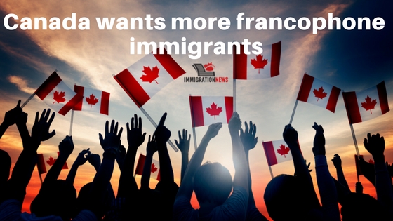 francophone immigrants